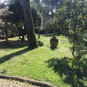 Old Town In The Green: Federico's Apartment. Apartament Florencja